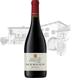 Domaine Louis Claude Desvignes - Morgon "Côte du Py" - "Javenières" - Rouge -2023