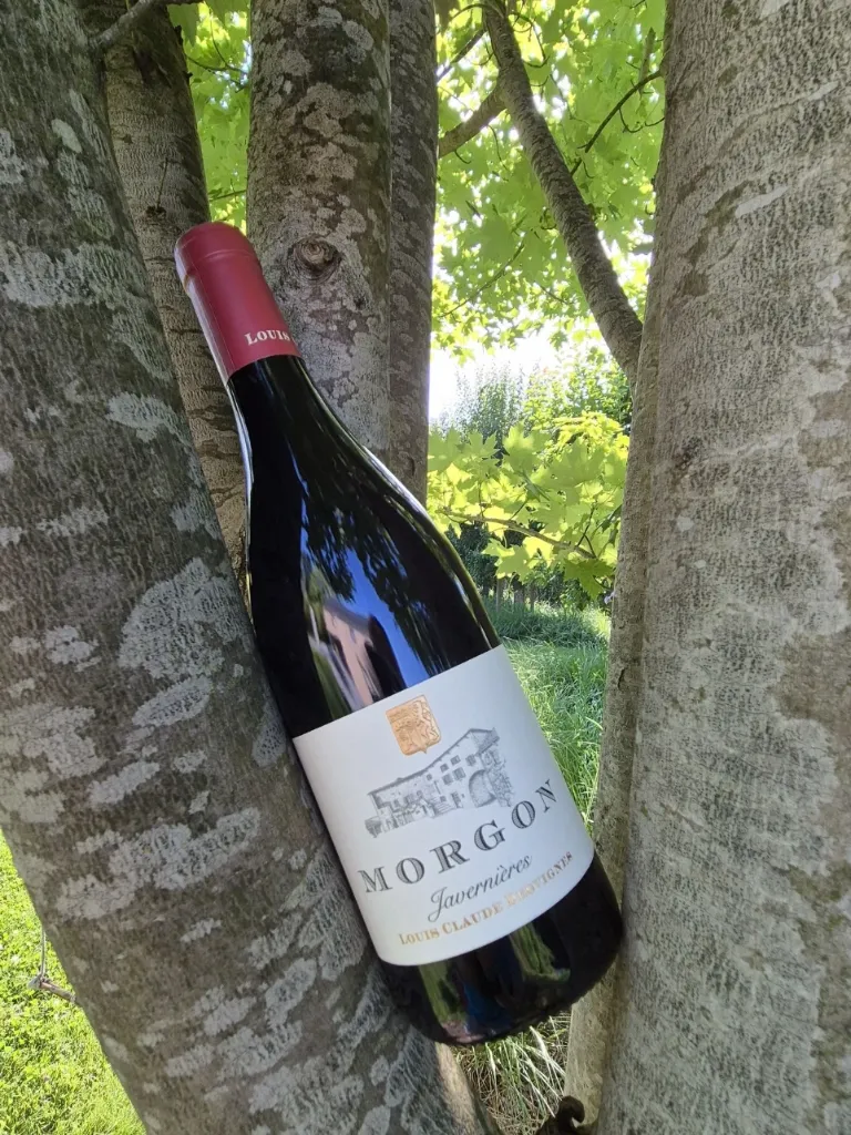 Domaine Louis Claude Desvignes - Morgon "Côte du Py" - "Javenières" - Rouge -2023
