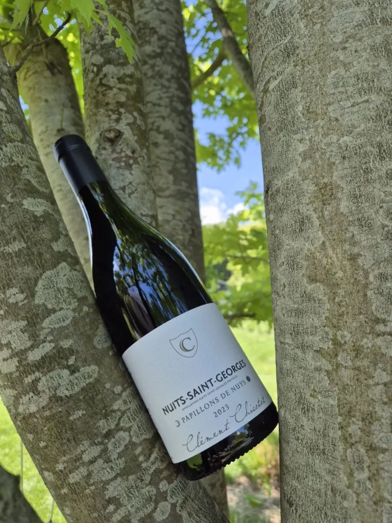 Domaine Chicotot - Nuits Saint Georges - "Papillons de Nuys" - Rouge - 2023