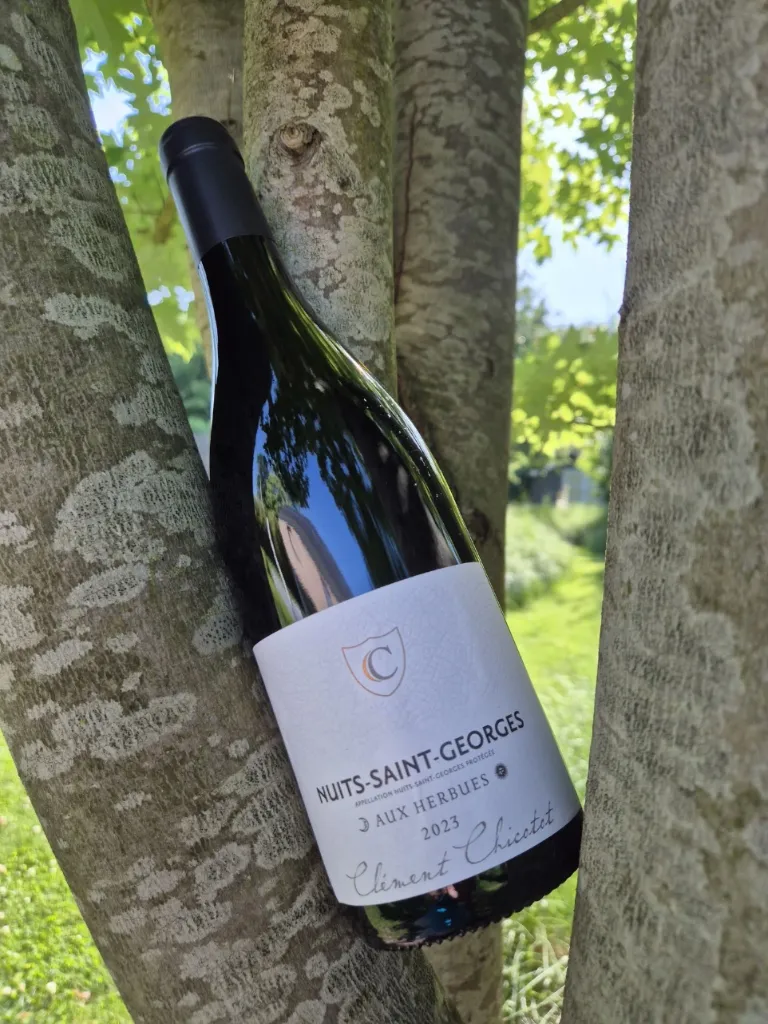 Domaine Chicotot - Nuits Saint Georges - "Aux Herbues" - Rouge - 2023