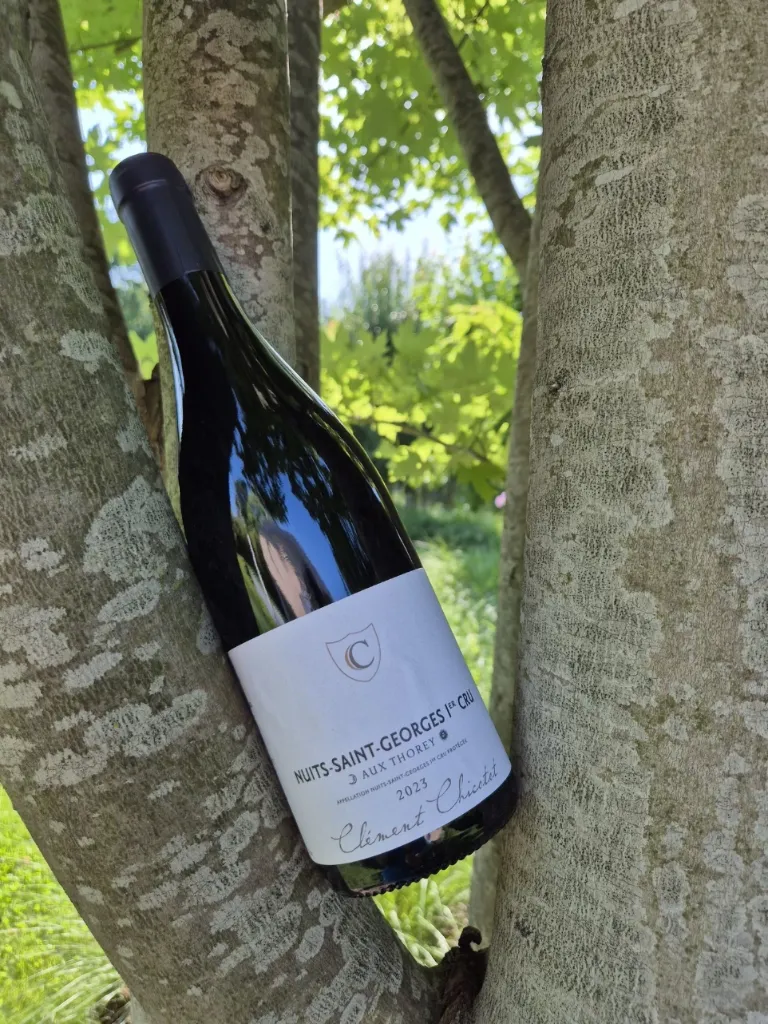 Domaine Chicotot - Nuits Saint Georges 1er Cru- "Aux Thoreys" - Rouge - 2023
