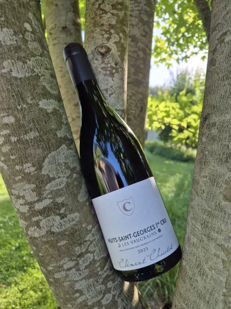 Domaine Chicotot - Nuits Saint Georges 1er Cru- "Les Vaucrains"- Rouge - 2023