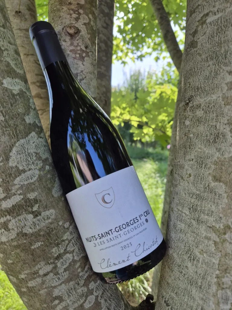Domaine Chicotot - Nuits Saint Georges 1er Cru- "Les Saint Georges" - Rouge - 2023