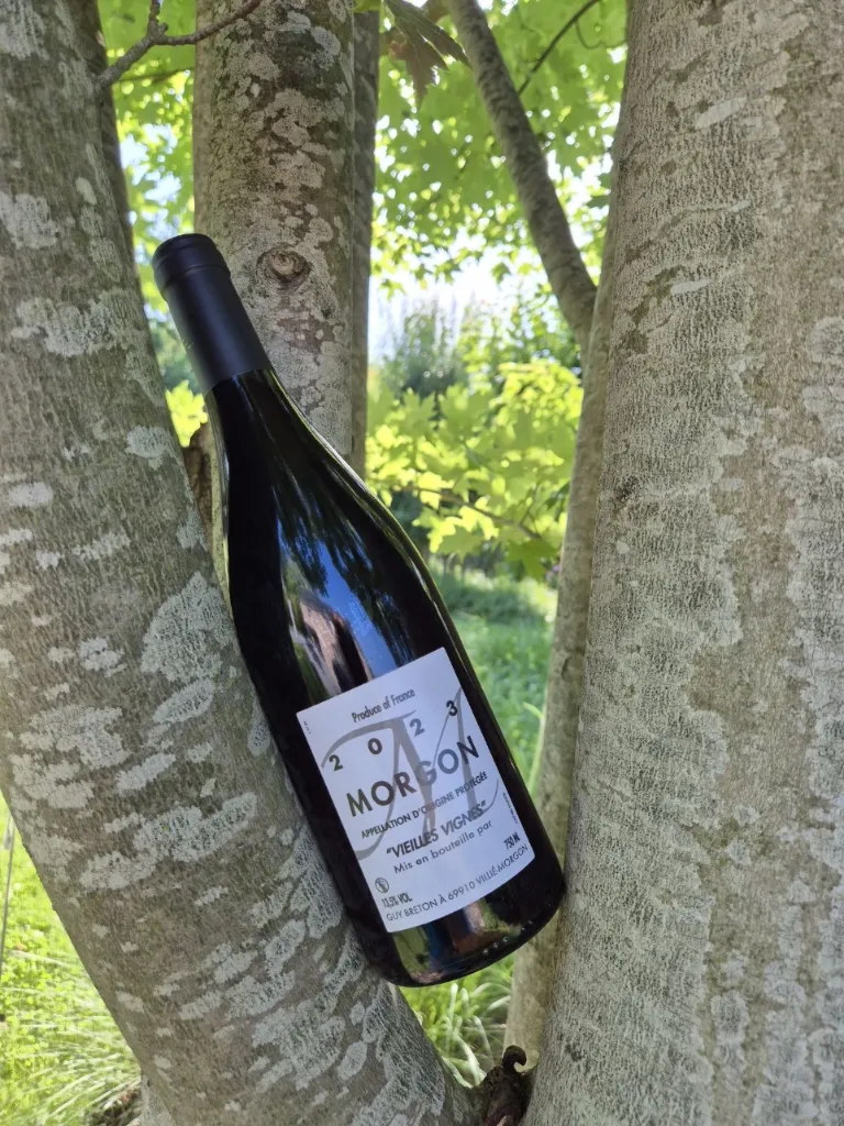 Domaine Guy Breton - Morgon - "Vieilles Vignes" - Rouge - 2023