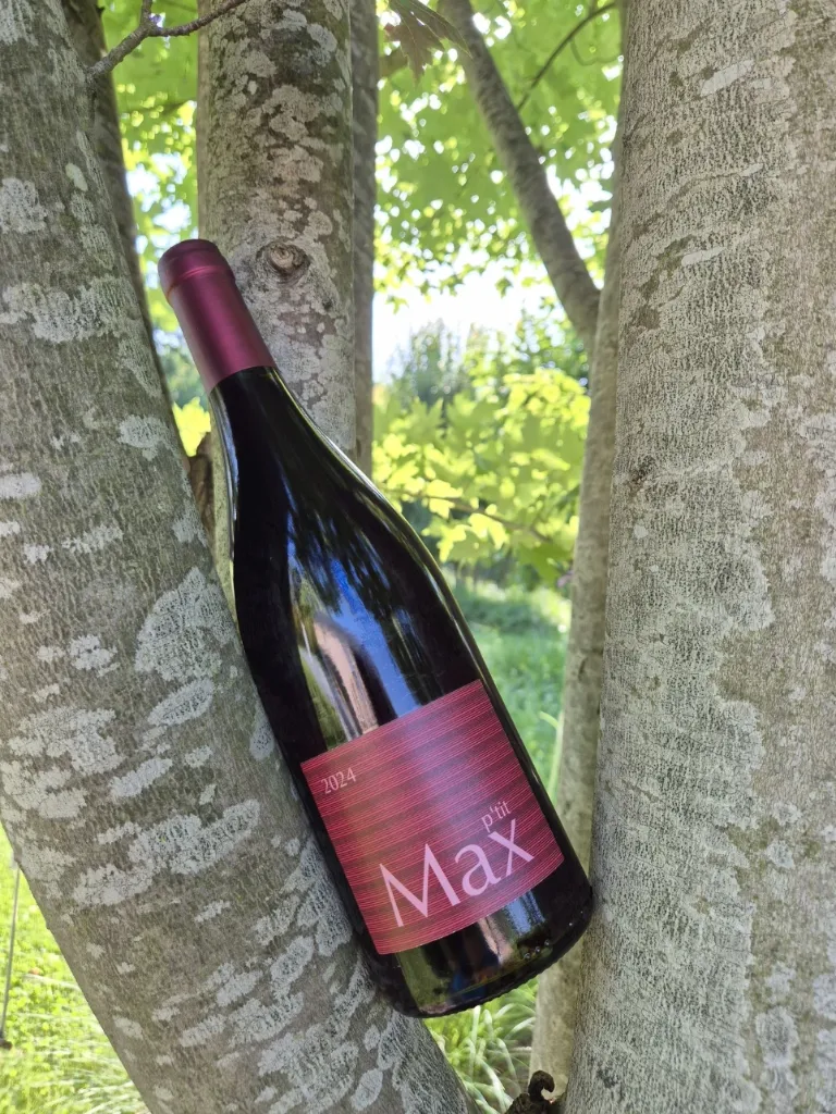 Domaine Guy Breton - Morgon - "P'tit Max" - Rouge - 2024