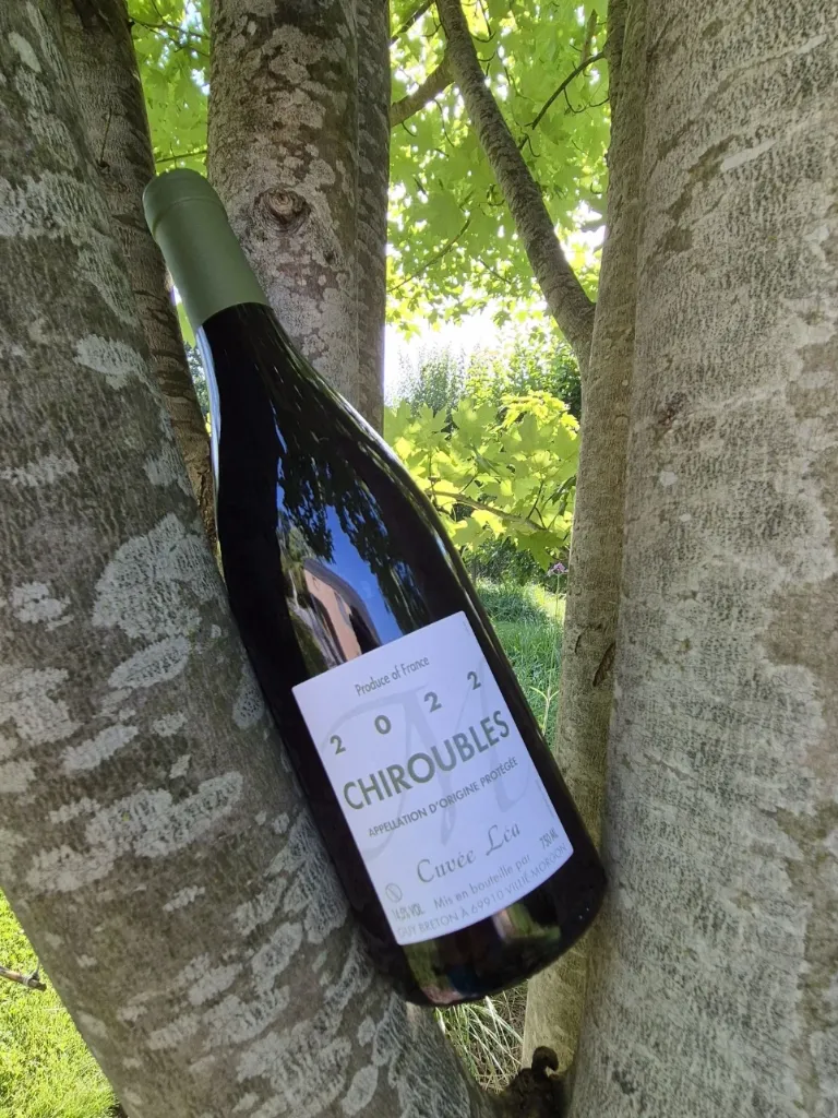 Domaine Guy Breton - Chiroubles - "Cuvée Léa" - Rouge - 2022