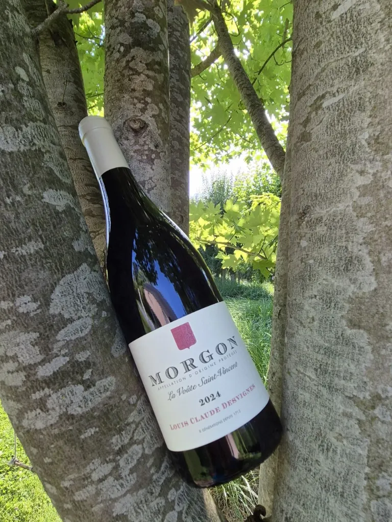 Domaine Louis Claude Desvignes - Morgon  - "La Voute St Vincent" - Rouge - 2024