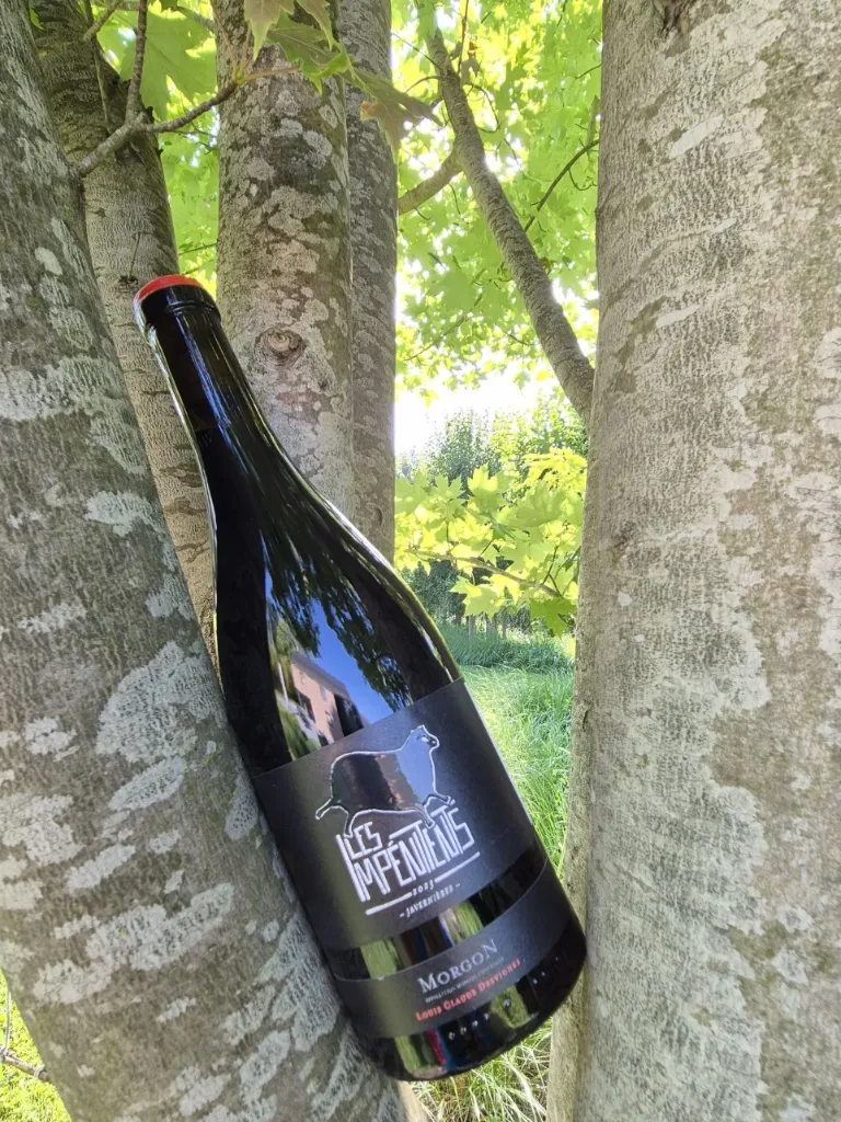 Domaine Louis Claude Desvignes - Morgon "Côte du Py Javenières" - "Les Impénitents" - Rouge -2023
