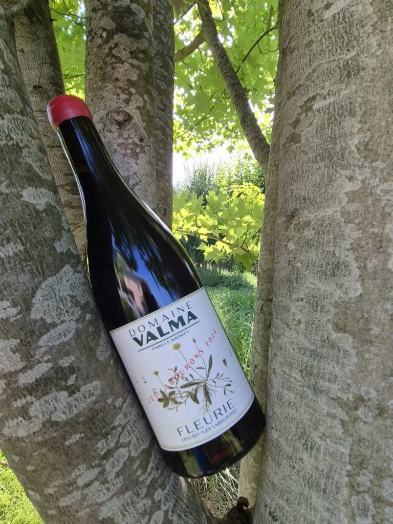 Domaine Valma - Fleurie - "Les Labourons" - Rouge - 2024