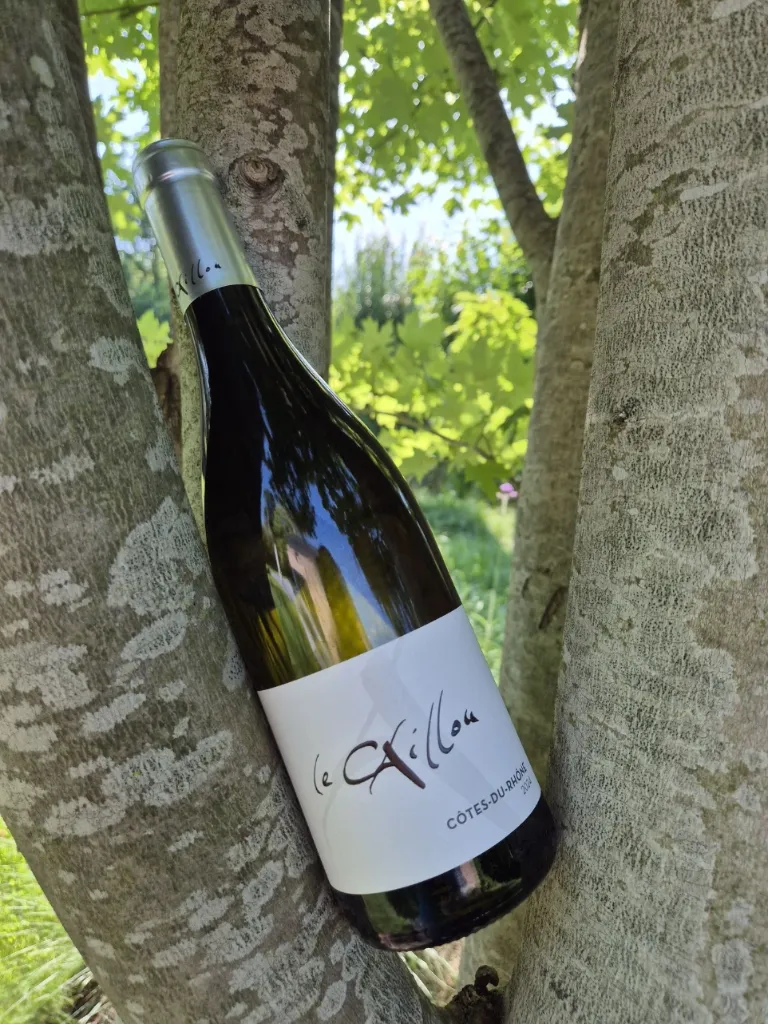 Clos du Caillou -Côtes du Rhône - "Le Caillou" - Blanc -2024